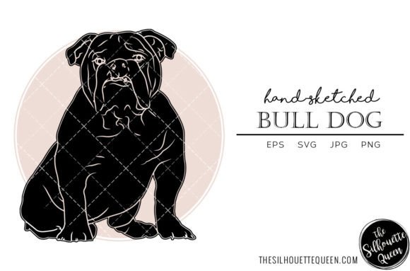 Bull Dog Sketch