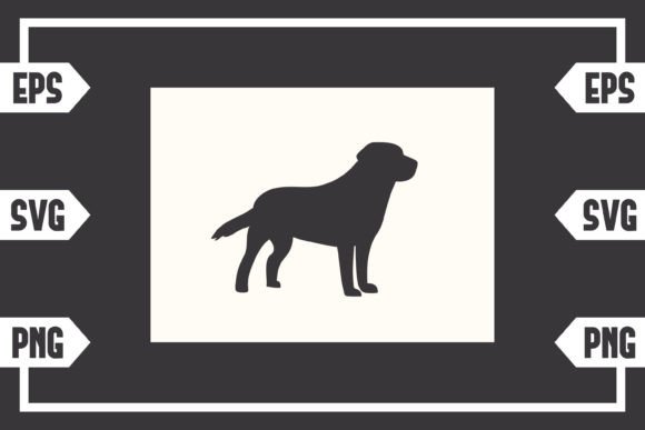 Colorado - Dog